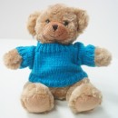 Sweater Bear